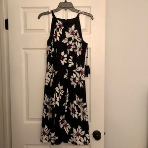 Adrianna Papell Black Multicolored Dress